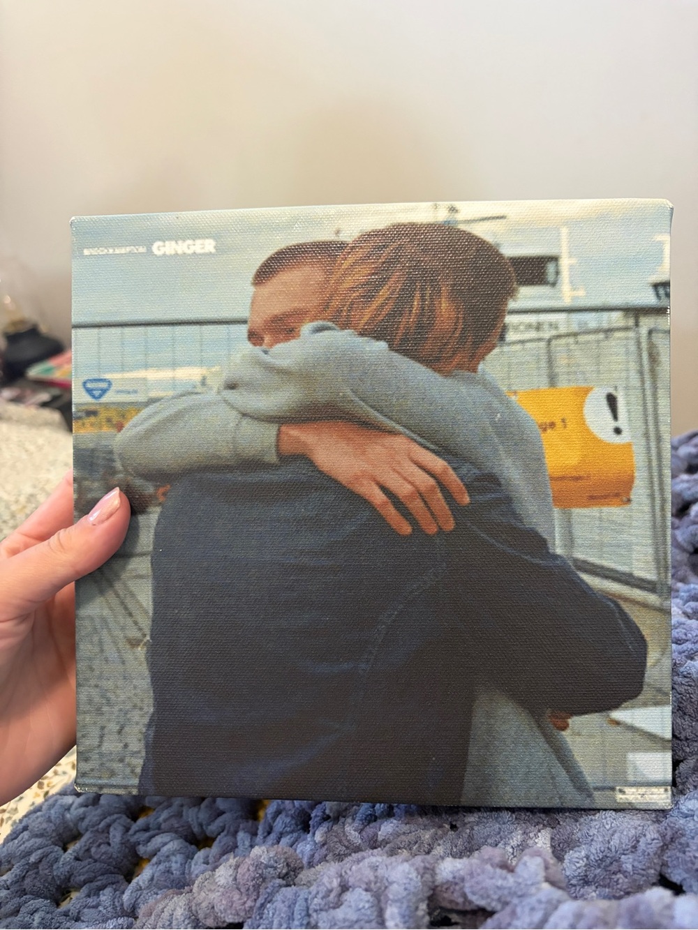 Brockhampton Ginger Vinyl Record Artwork Canvas Poster